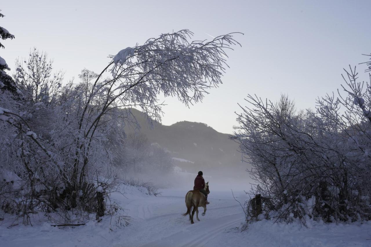 Gasthof Hirschenwirt Schöder エクステリア 写真