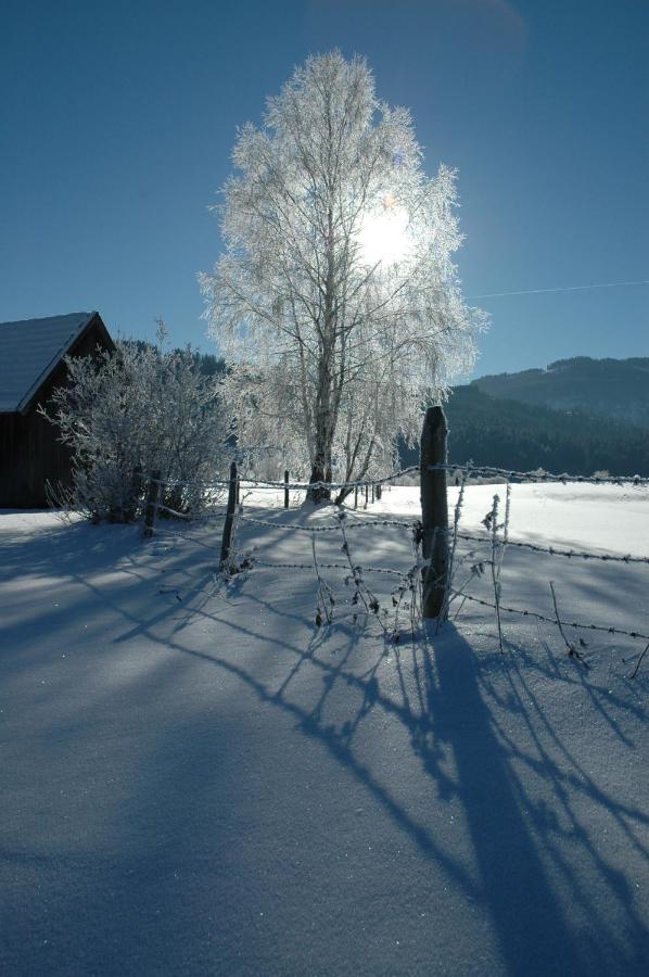 Gasthof Hirschenwirt Schöder エクステリア 写真