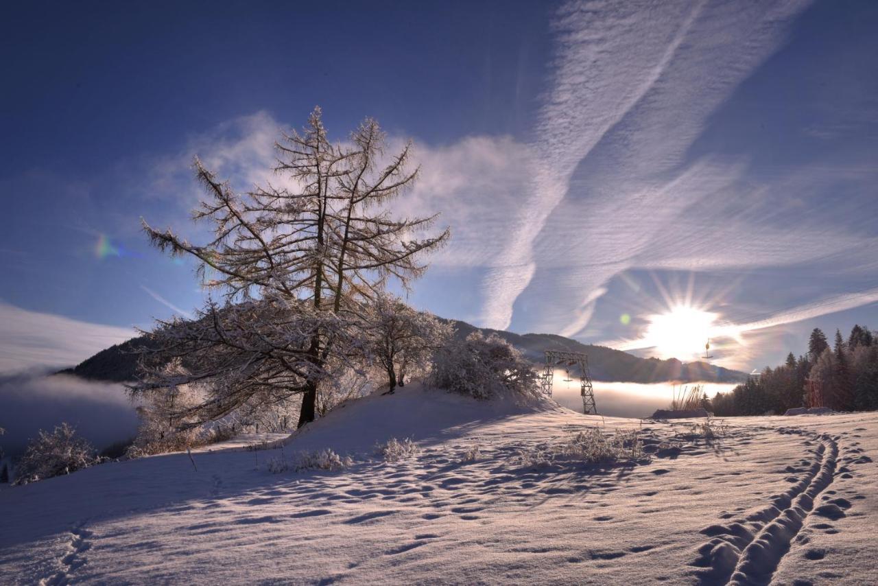 Gasthof Hirschenwirt Schöder エクステリア 写真